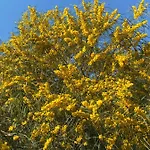 Culla Di Jana Διαμέρισμα *