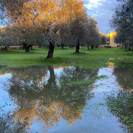Daire Culla Di Jana