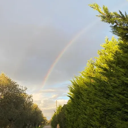 Daire Culla Di Jana *